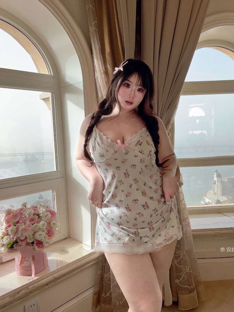 Women's Sexy Plus Size Lingeri - огляд і ціна Babydoll Chemise Night