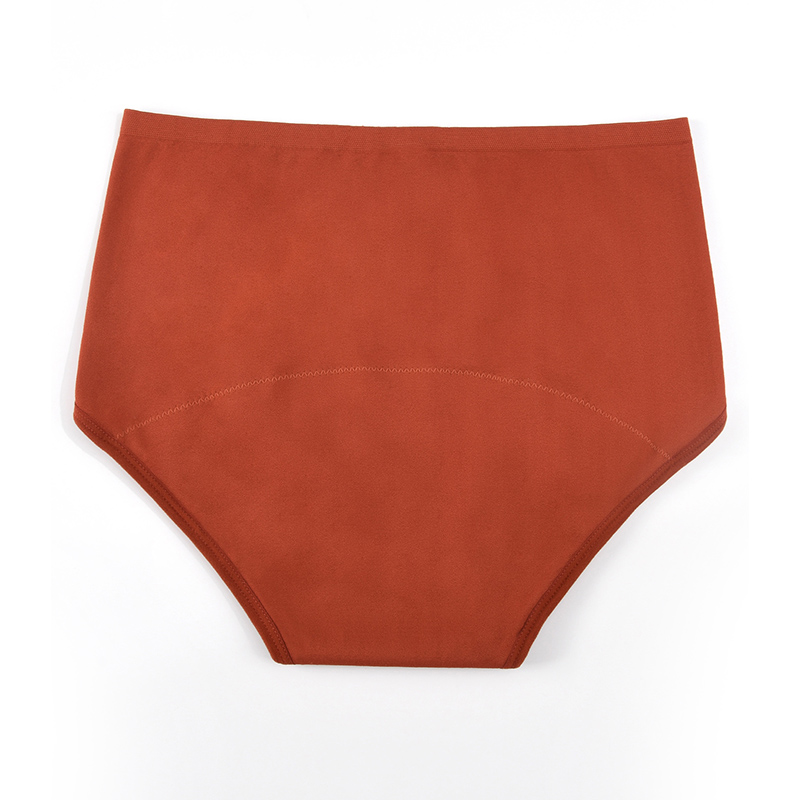 Women’s Seamless Period Pantie - огляд і ціна Period Panty Absorbent