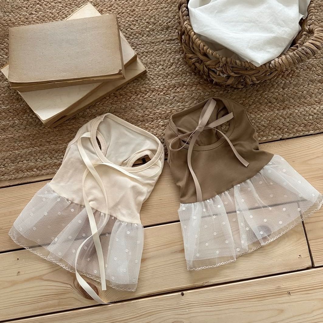 Spring and Summer Pet Lace Cam - огляд і ціна Lace Teddy Lingerie