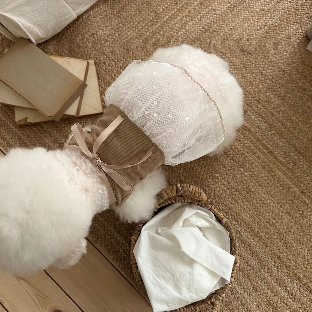 Spring and Summer Pet Lace Cam - огляд і ціна Lace Teddy Lingerie